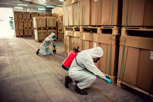 Best Local Pest Control Services  in Avon, PA