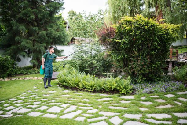 Best Pest Control Near Me  in Avon, PA