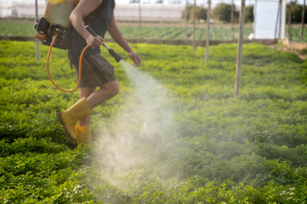 Best Affordable Pest Control Services  in Avon, PA