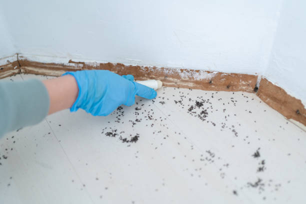 Pest Control Cost in Avon, PA