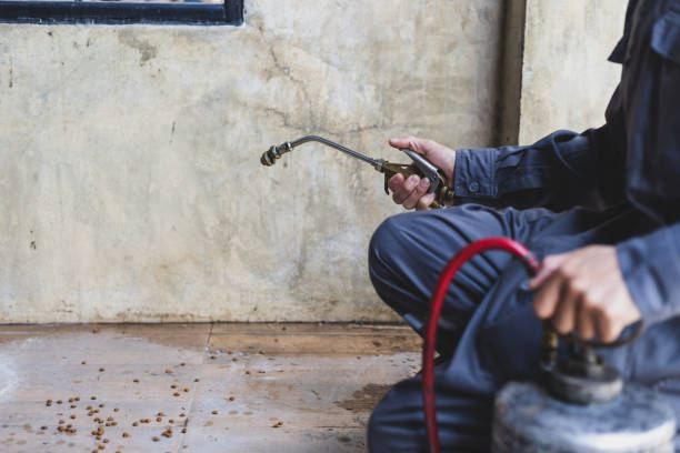 Best Termite Control Services  in Avon, PA